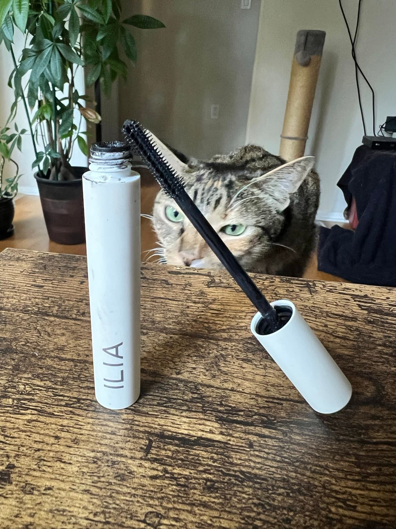 Ilia mascara
