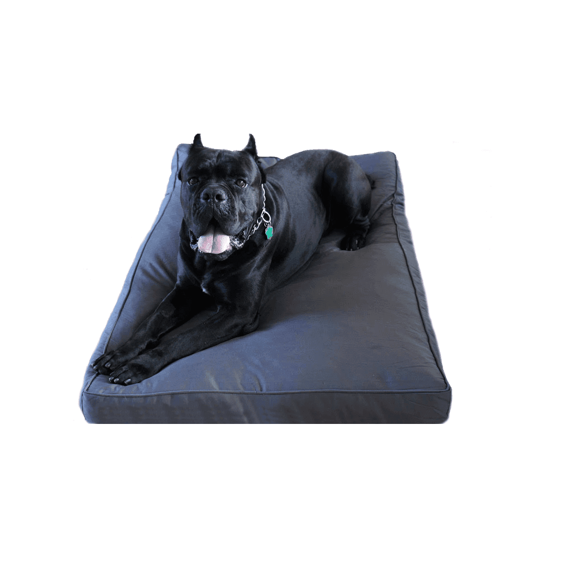 Bully Beds