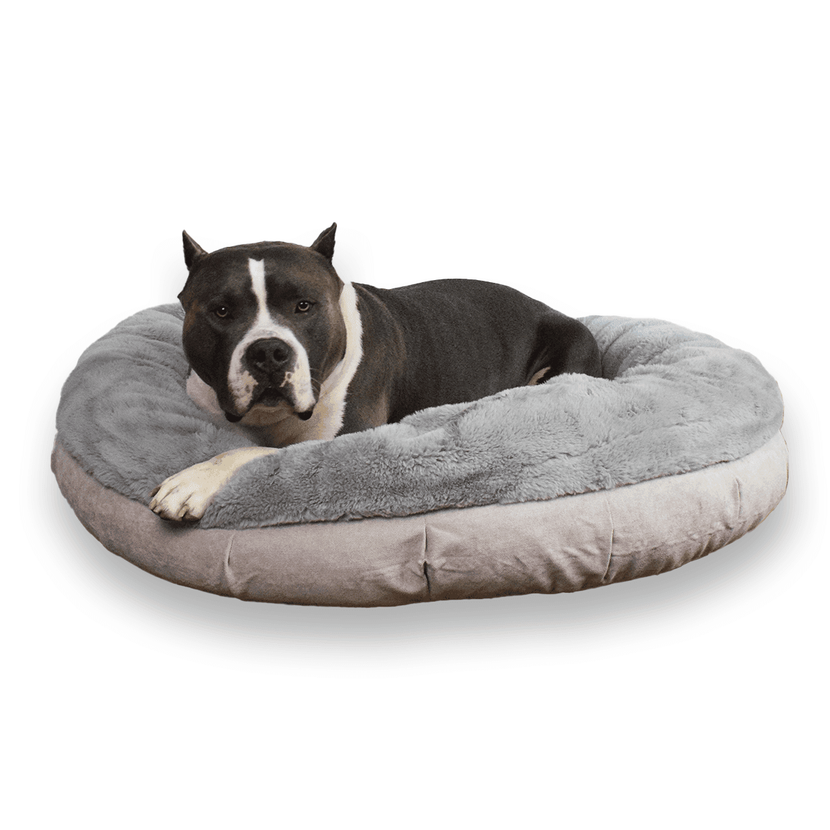 Bully Beds