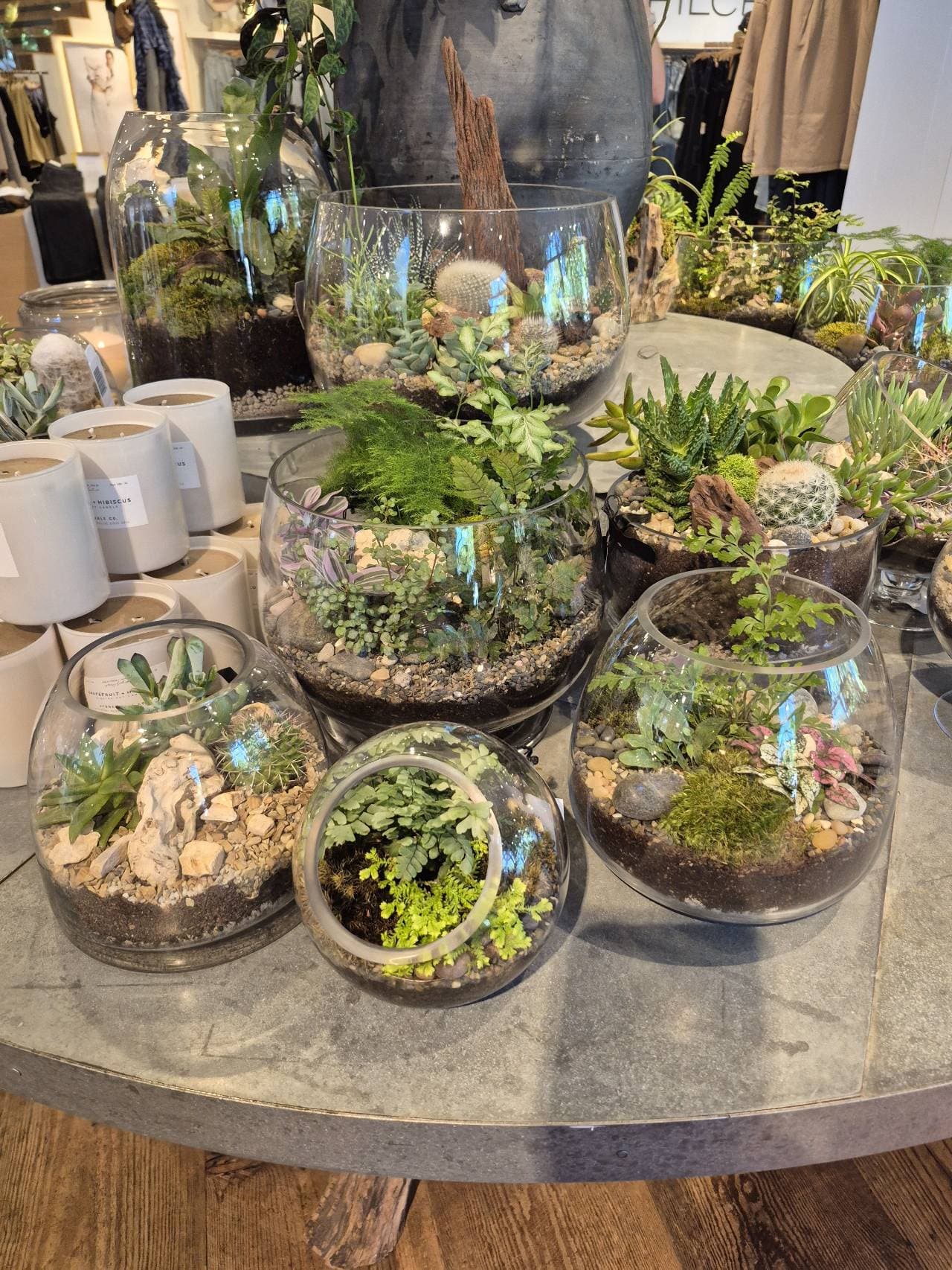 Terrarium glass round