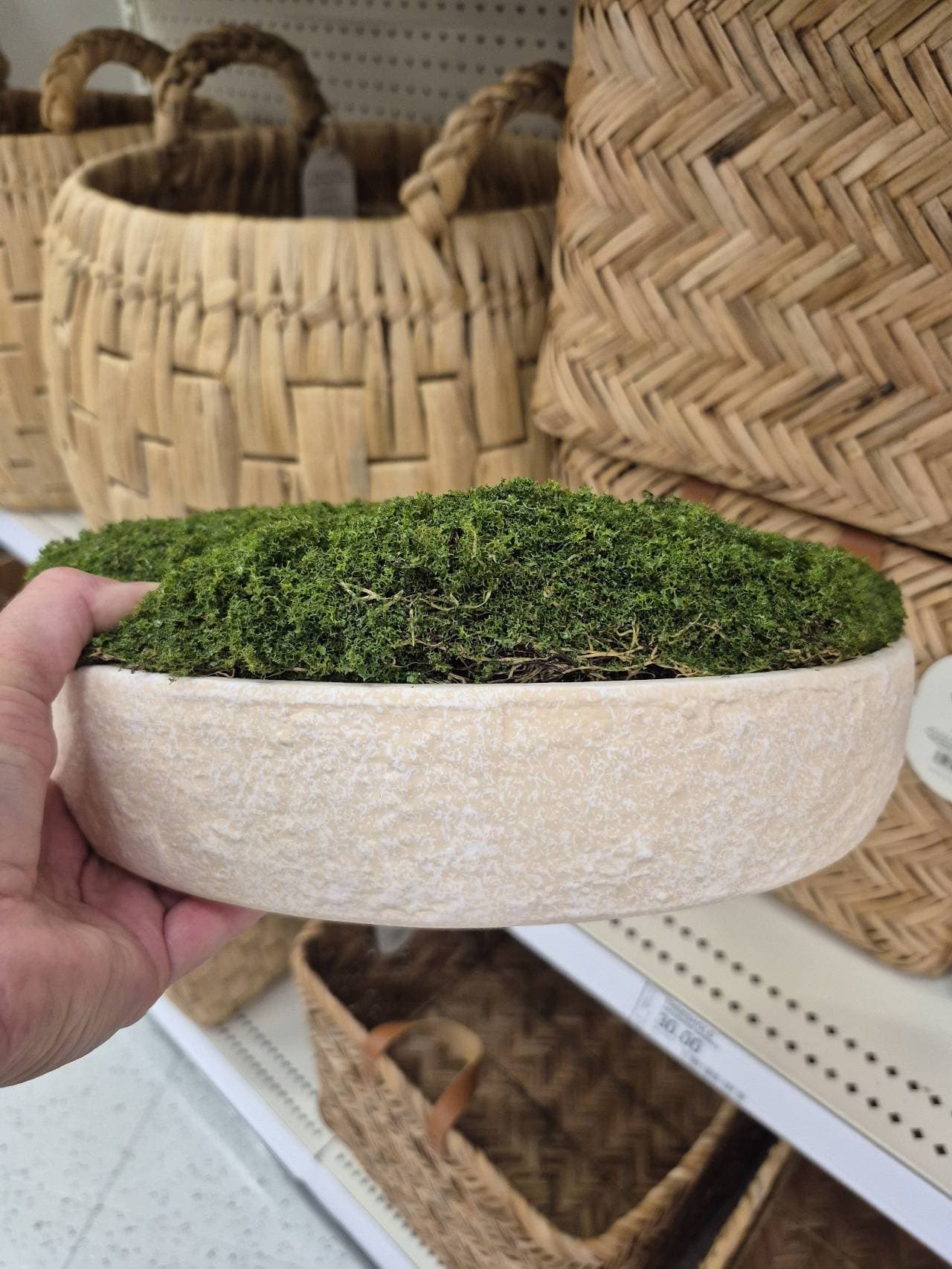 Faux Moss Bowl round textured beige