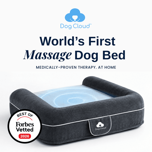 Gives dogs their spark back.
