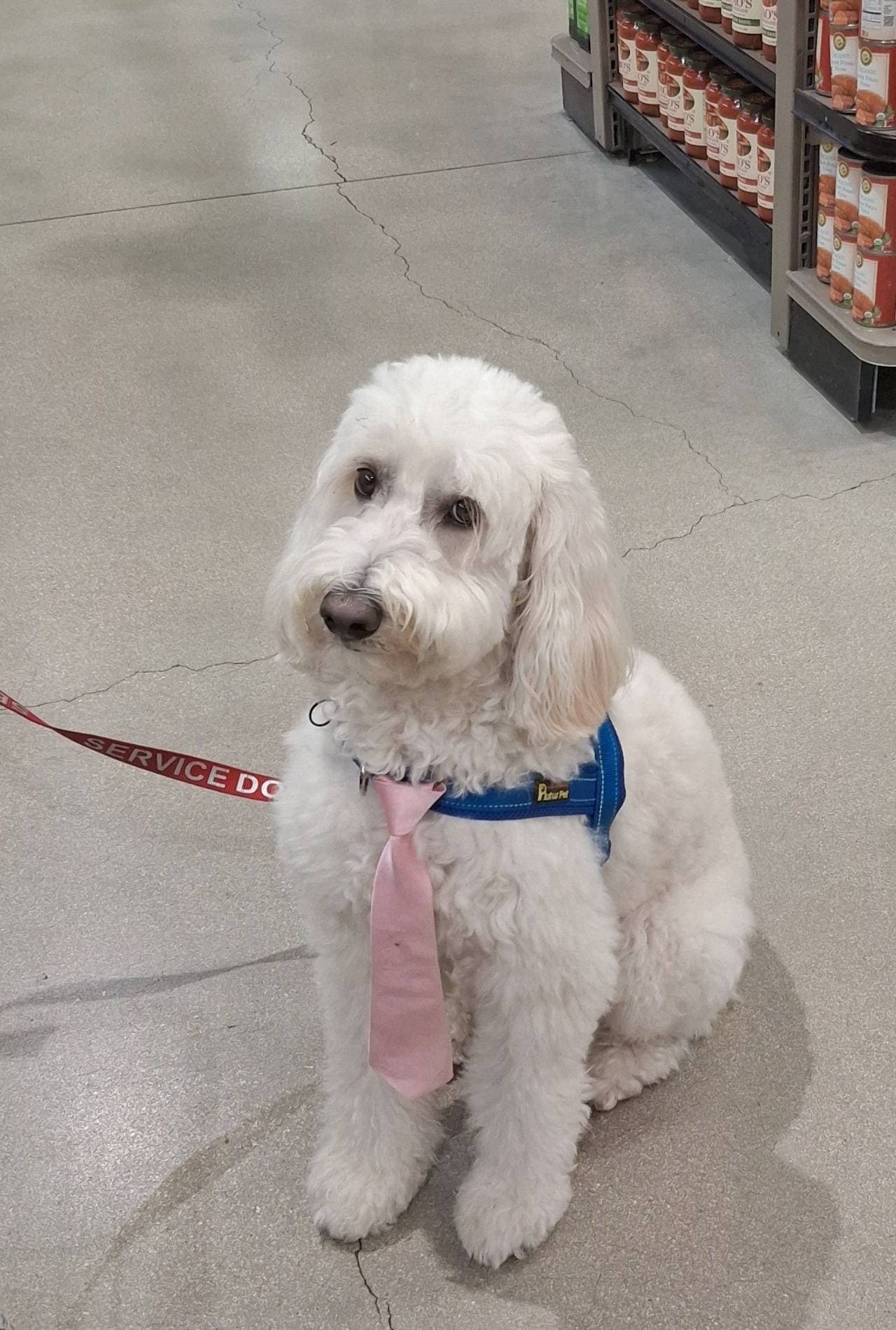 Neck tie