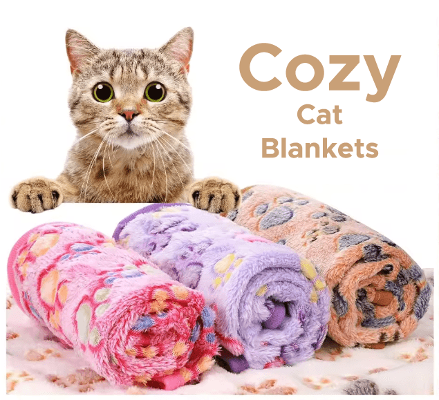 Easy to wash cozy blanket .
